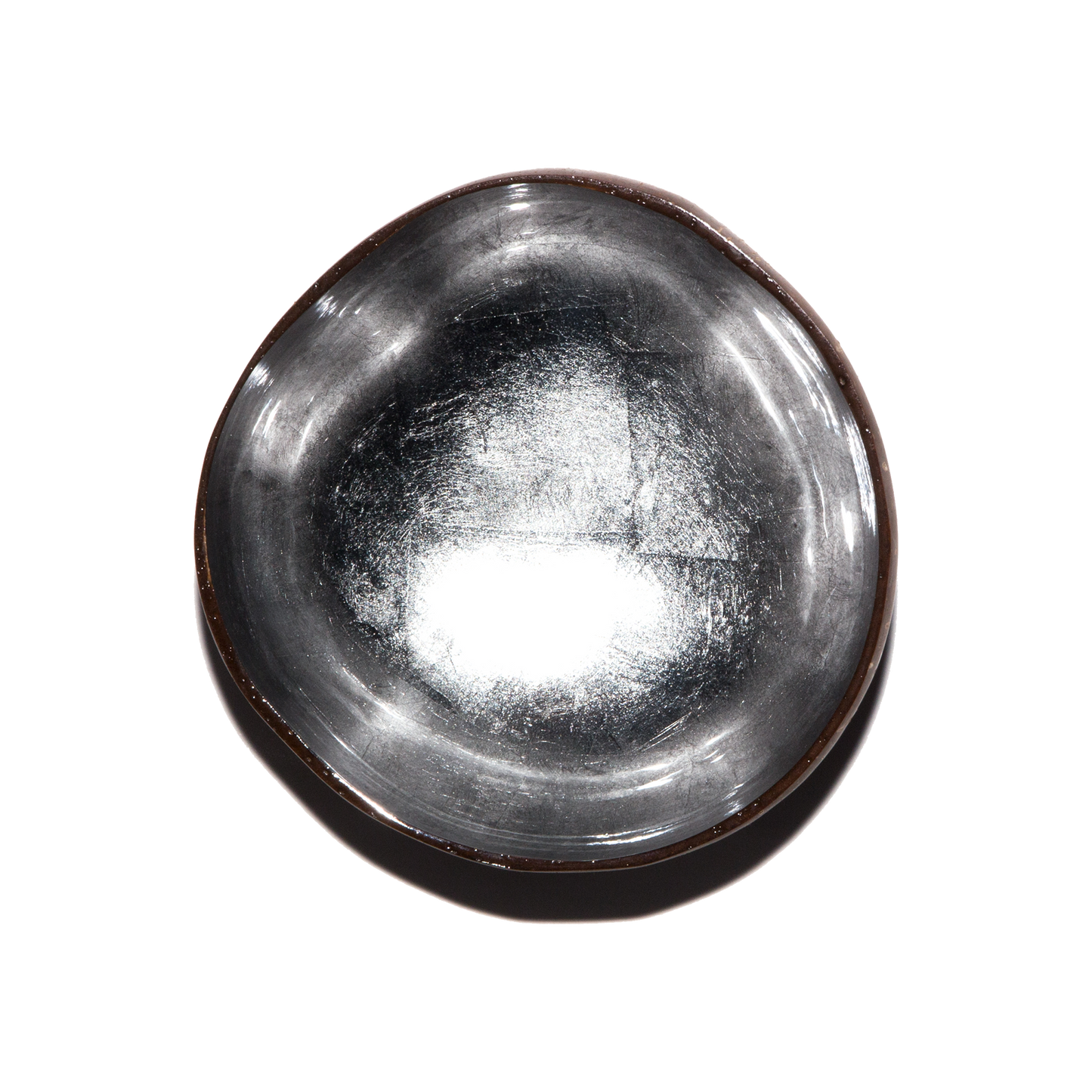 silver coconutbowl